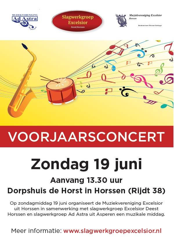 Poster_CONCERT_19_juni_2022.jpg