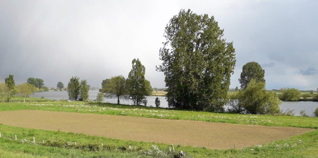 Grasvolleybalveld Maasfeesten