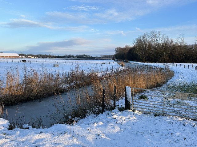 Horssen winter 2