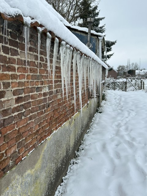 Horssen winter 3