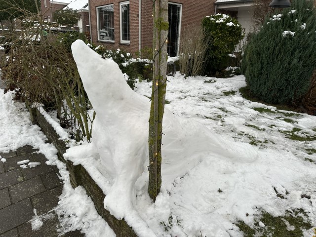 Horssen winter 4