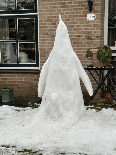 Horssen winter 5