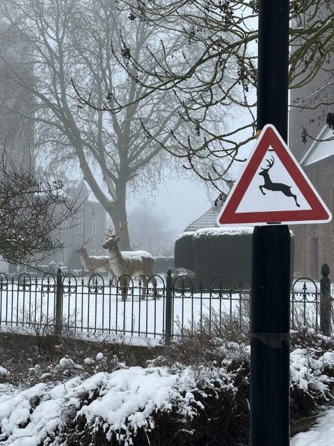 Horssen winter 8