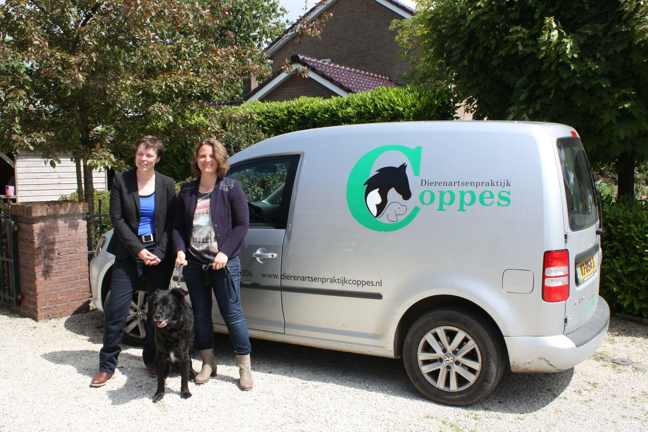 dierenartspraktijk 1 klein