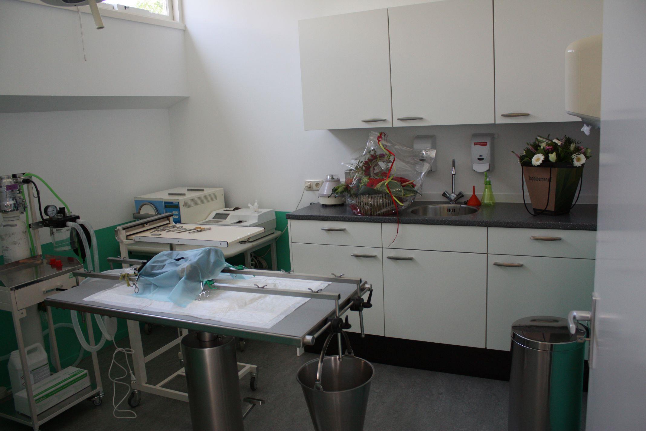 dierenartspraktijk 11 klein