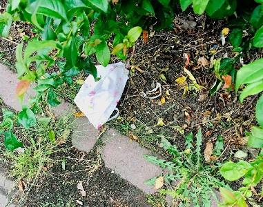 zwerfvuil mondkapje1